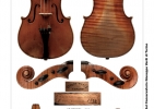 galleria-violino oddone 1894