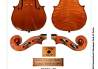 galleria-violino oddone 1923